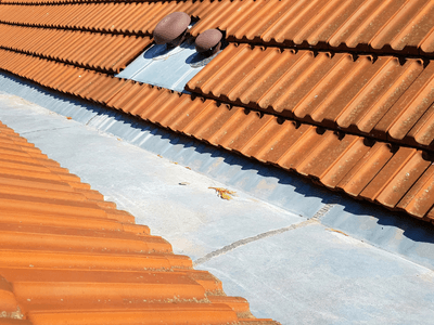 About Leaking Skylight Repair Pros Guy, AR